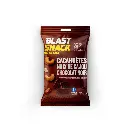 Mix énergisant noix de cajou cacahuètes chocolat noir Blast Snack 35gr x 15
