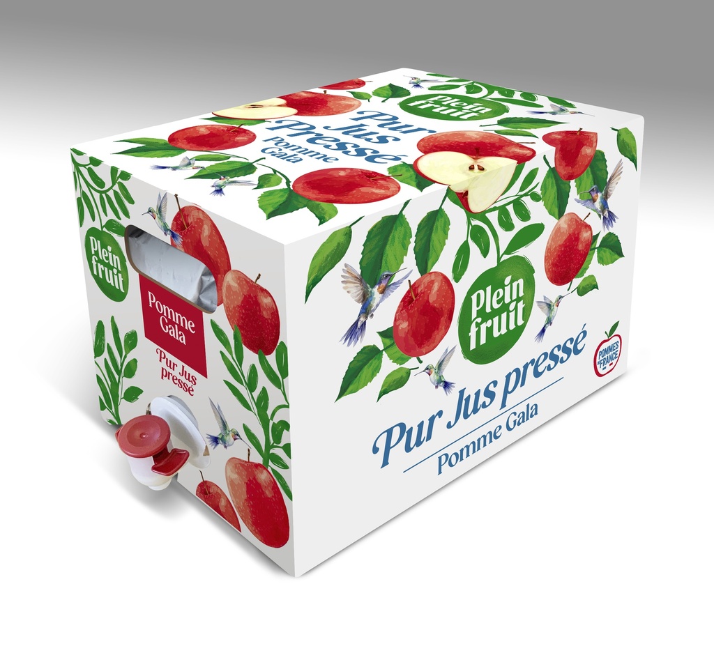 Pur jus de pomme Plein Fruit BIB de 5L 