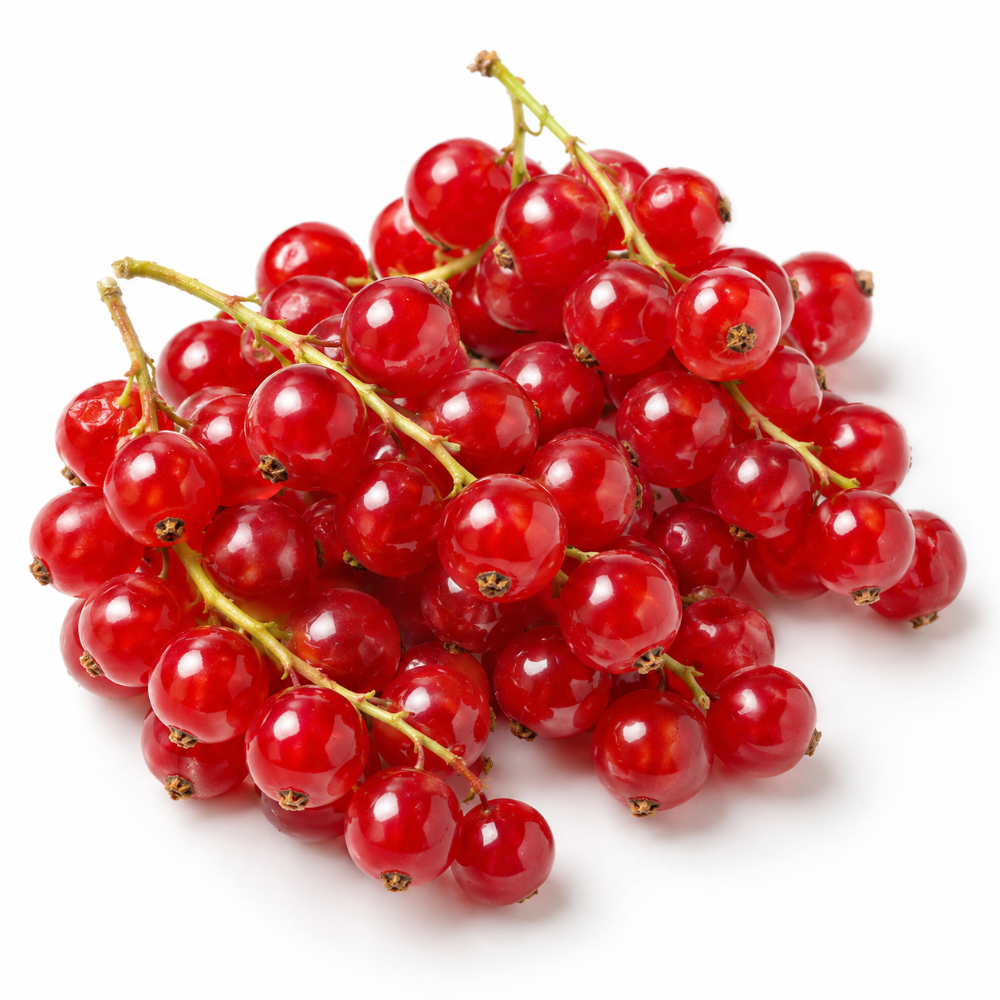 Groseilles rouges (barquette)(125gr)
