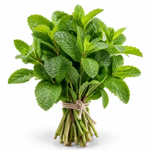 [5326] Feuille de menthe (botte)