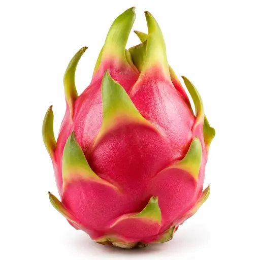 [5419] Fruit du dragon (pièce)