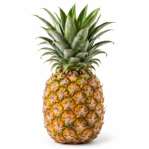 [5810] Ananas (pièce)