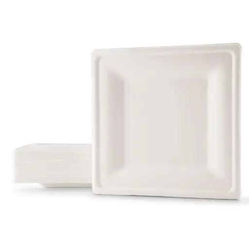 [6203] Assiette carrée pulpe naturel 26cm 40 pièces