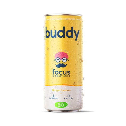 [6291] Boisson pétillante Buddy citron gingembre 25cl x 12